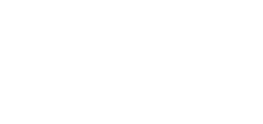 Yildiz_Bruell_Logo_weiß Kopie